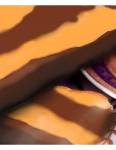 Chocolate Puyet Praliné Tentación