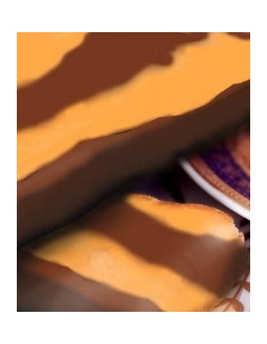 Chocolate Puyet Praliné Tentación