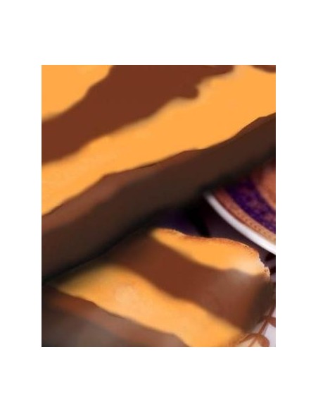 Chocolate Puyet Praliné Tentación