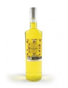 Jarabe de limón Araterra