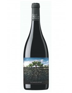 Garnacha Salvaje del Moncayo
