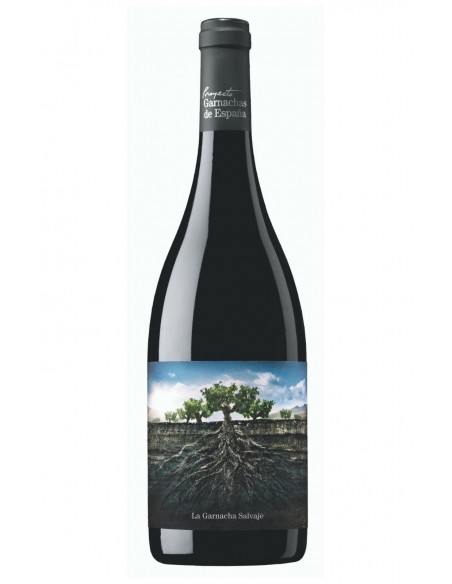 Garnacha Salvaje del Moncayo