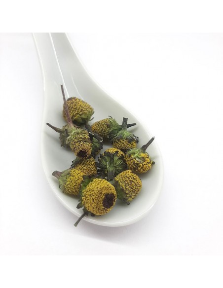 Flor Eléctrica Deshidratada caja 15gr