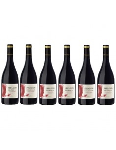 CAJA  Prados del Moncayo Colección Garnacha