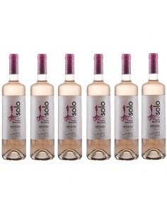 CAJA SOLO Centifolia