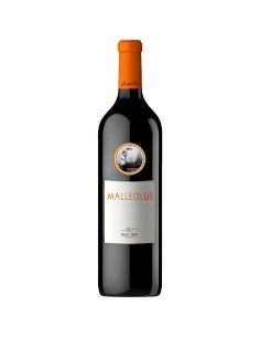 Malleolus