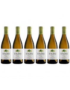 CAJA  Coto de Hayas Verdejo