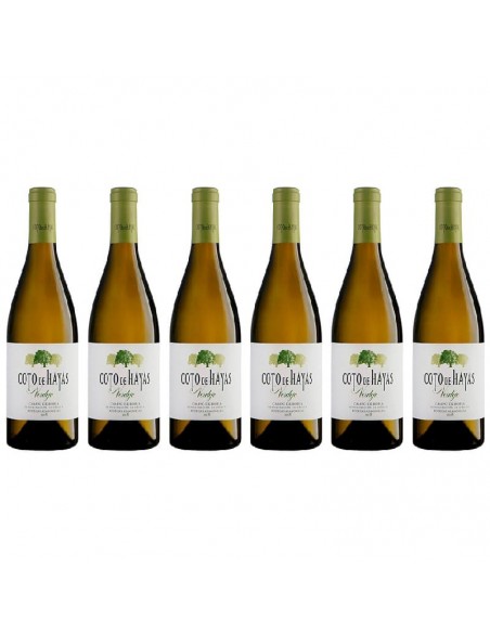 CAJA  Coto de Hayas Verdejo