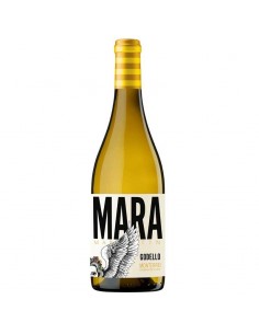 Mara Martín Godello