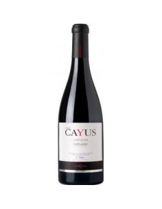 Flor de Cayus