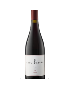 Luis Olivan Garnacha de Ainzon