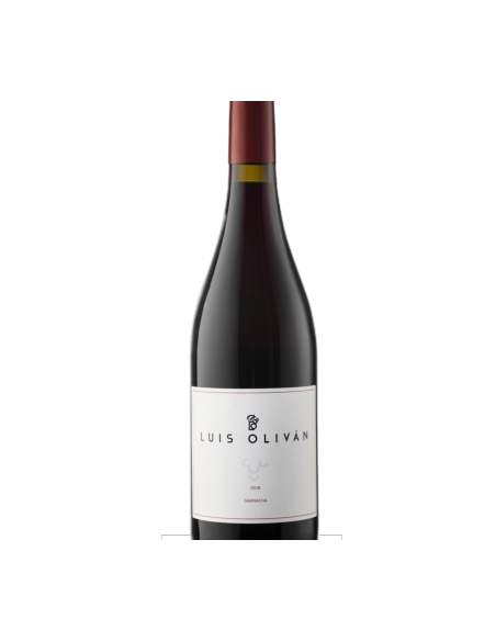 Luis Olivan Garnacha de Ainzon