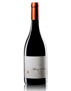 Manga del Brujo Escocés Volante