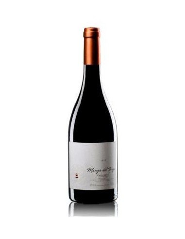 Manga del Brujo Escocés Volante