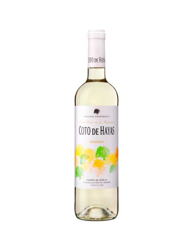 Coto de Hayas chardonnay