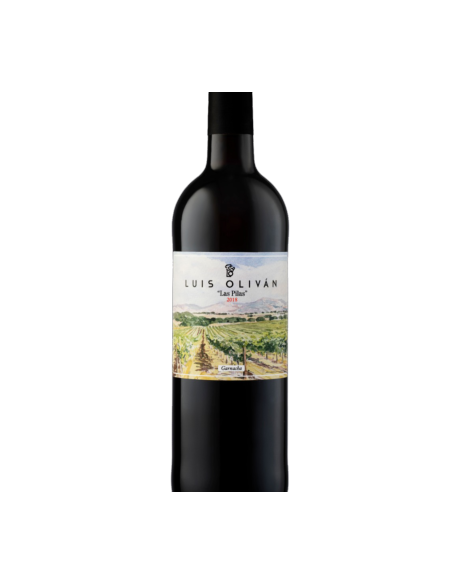 Luis Olivan Las Pilas